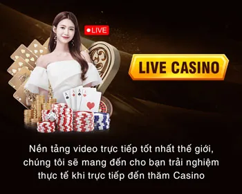 Chuyên môn của đội ngũ yeahwin