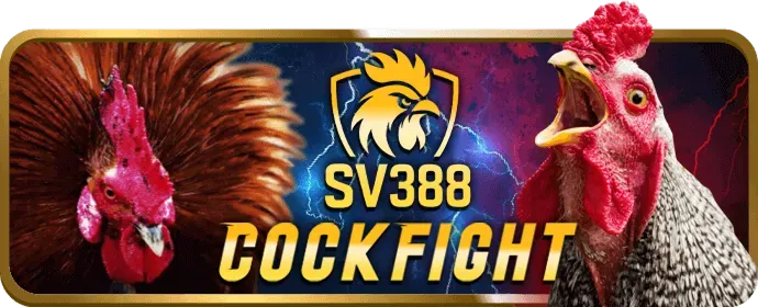 yeahwin cá cược thể thao